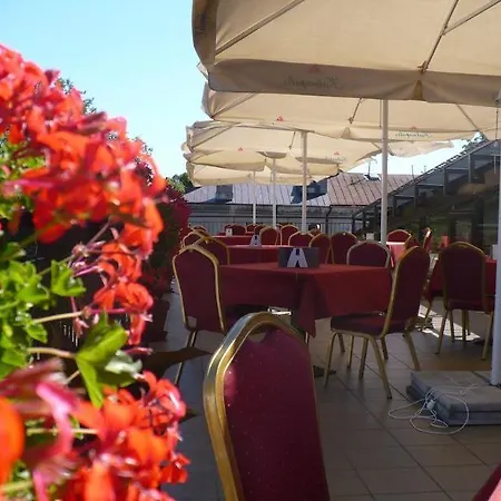 Daugirdas Old 4* Kowno