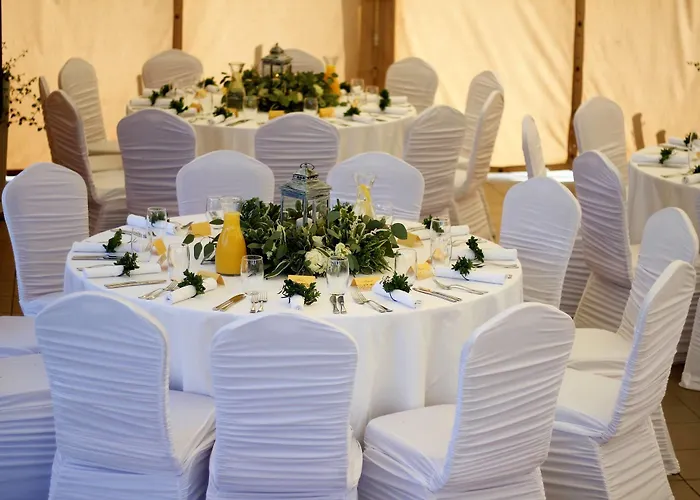 Daugirdas Old فندق كاوناس